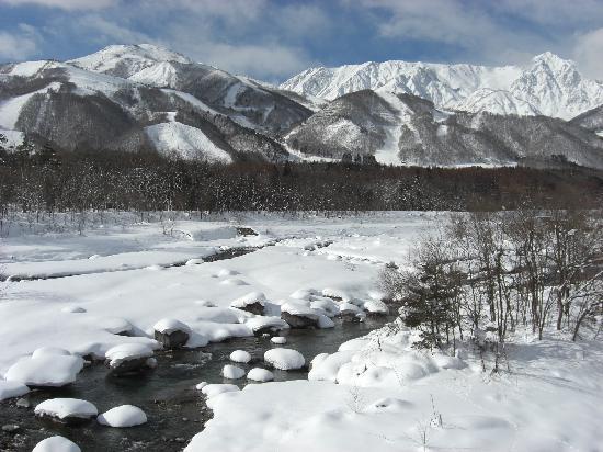 caption-1.jpg Caption 1